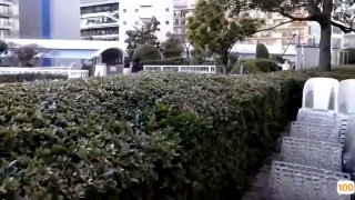 国产精品zzzzzzyyyyyyyy色,成人视频高清免费观看